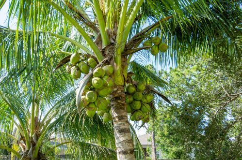 1080 Romaine Ln, Fort Pierce FL 34953-3675 exterior