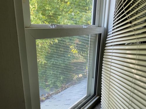 7324 Wellington Ave, Saint Louis MO 63130-1724 exterior