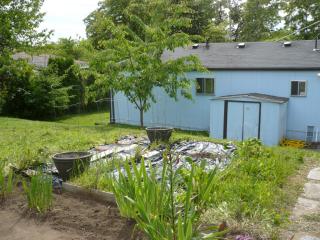 10762 17th Ave, Seattle WA  98125-6506 exterior