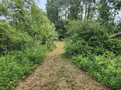 4370 192nd Ave, Hesperia MI 49421-9576 exterior