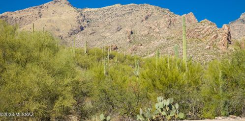 6655 Canyon Crest Dr, Tucson AZ 10161-0937 exterior