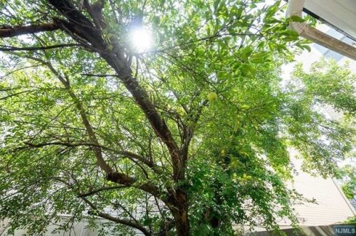 703 28 St, Union City NJ 07087-2305 exterior