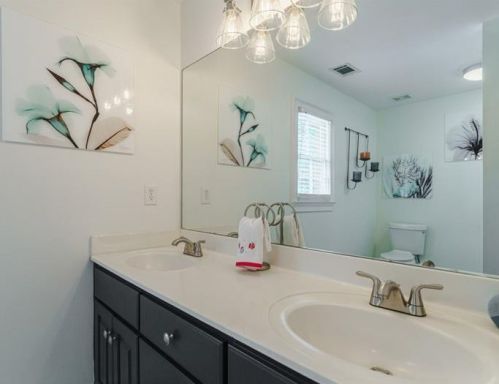 3970 Balleycastle Ln, Duluth GA 30097-2203 exterior