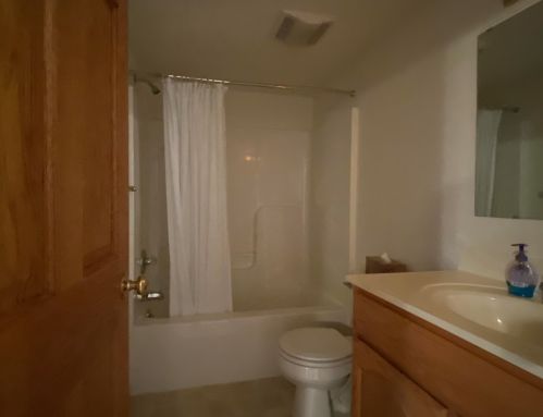 12710 Macclain Ct, Cedar Springs MI exterior