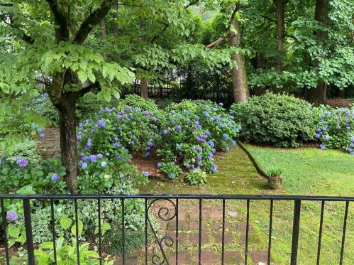 3019 Belingham Dr, Atlanta GA  30345-1503 exterior