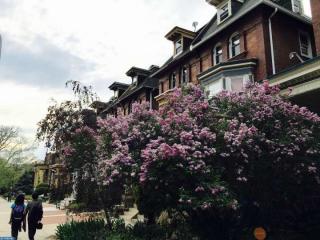 4513 Spruce St, Philadelphia PA  19139-4526 exterior