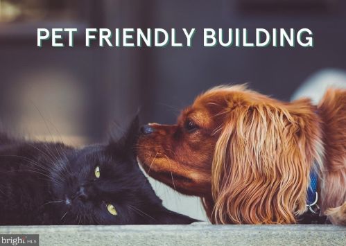 1104 Holbrook Ter, Washington DC 20002-2358 exterior