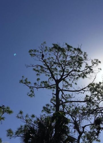 162 Cypress Vw Dr, Naples FL exterior