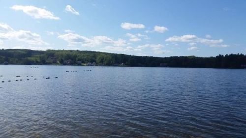 5 Griggs Rd, Sutton, MA 01590-1017