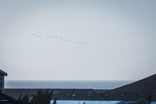 5435 Driftwood St, Oxnard CA  93035-1080 exterior