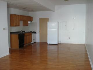 177 East St, Philadelphia PA  19127-1805 exterior