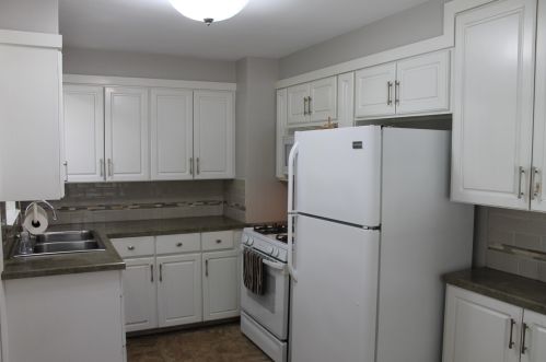 801 Eleanor St, Grand Rapids MI 49505-4223 exterior