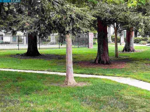 1211 Pine Creek Way, Concord CA 94520-5978 exterior