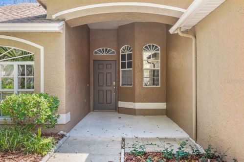 17709 Emerald Green Pl, Tampa, FL 33647-2547