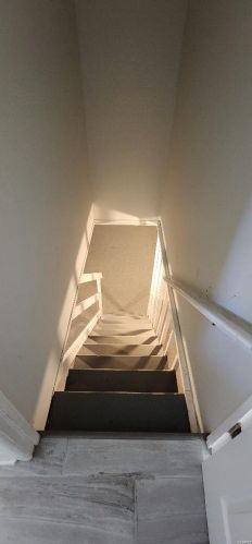 14 Forestwood Dr, Saint Louis MO 63135-2827 exterior