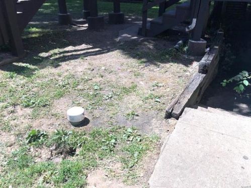 2844 Burd Ave, Saint Louis MO 63112-4216 exterior