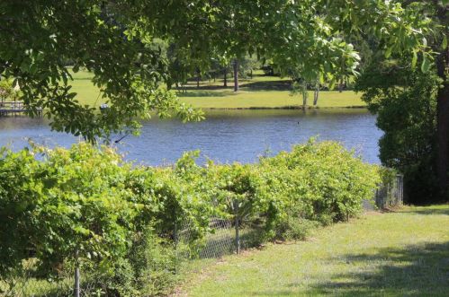 919 Pinewood Dr, Defuniak Springs FL 32433-4531 exterior