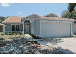 13534 Bellingham Dr, Tampa FL  33625-4065 exterior
