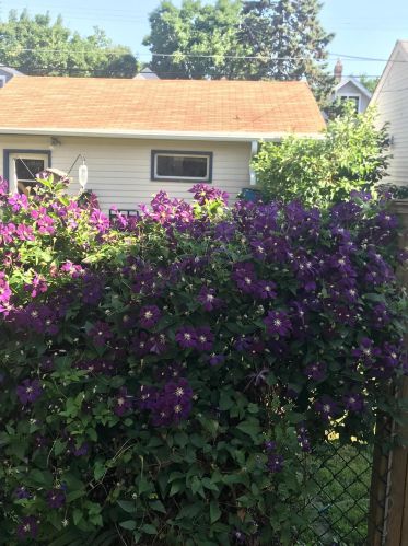 1299 Blair Ave, Saint Paul MN 55104-2008 exterior