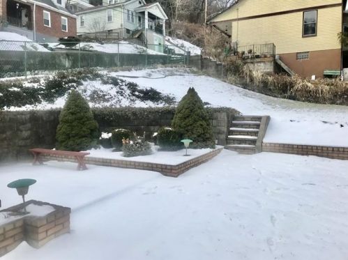 23 Beckert St, Pittsburgh PA 15209-2507 exterior