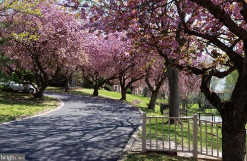 280 Bridgewater Rd, Chester PA 19014-2957 exterior