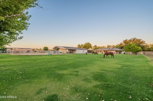 24420 142 St, Chandler AZ exterior