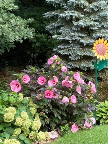 1811 Starr View Ln, Middlevle MI  49333-8066 exterior