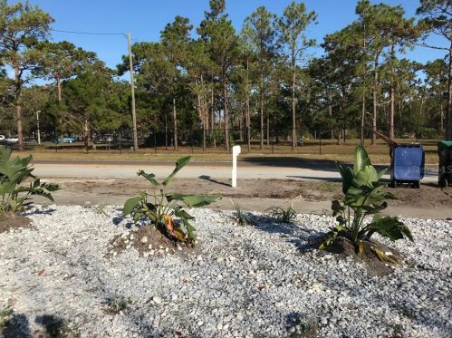 10138 Flowers Ave, Orlando, FL 32825-5526