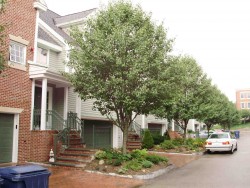 336 Boylston St, Newton MA 02459-2872 exterior