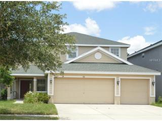 9116 Oak Pride Ct, Tampa, FL 33647-3361