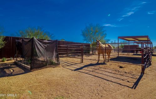 36425 10 St, Phoenix AZ 85085-7781 exterior