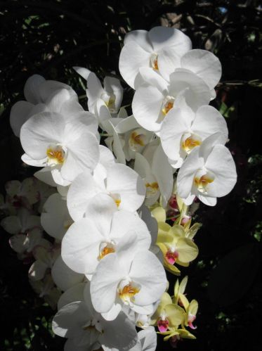 2016 Federal Hwy, Boynton Beach FL 33435-6965 exterior