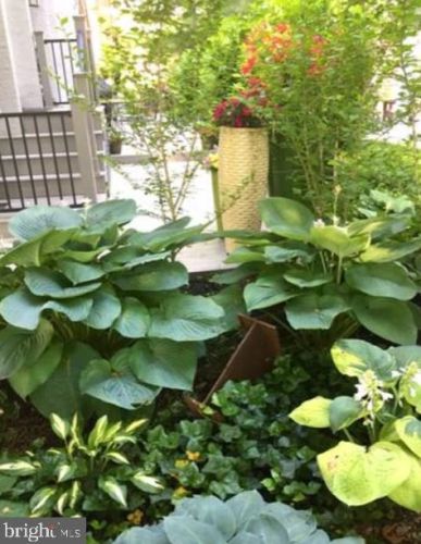 398 Lakeside Rd, Ardmore PA exterior