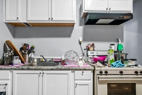 6525 Laflin St, Chicago IL  60636-2811 exterior