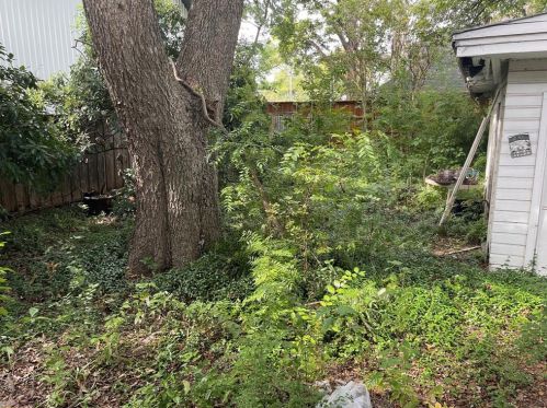 2519 Abrams Rd, Dallas TX  75214-3655 exterior