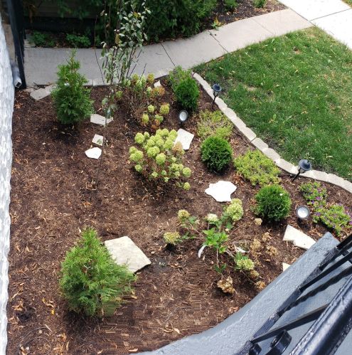 4535 Kedvale Ave, Chicago IL 60629-5750 exterior