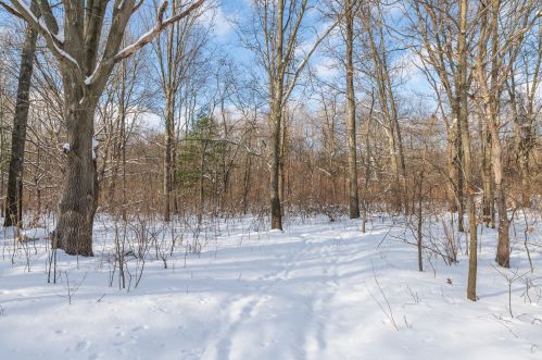 3763 2 St, Kalamazoo MI 49009-9319 exterior