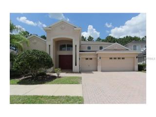 10411 Canary Isle Dr, Tampa, FL 33647-2713