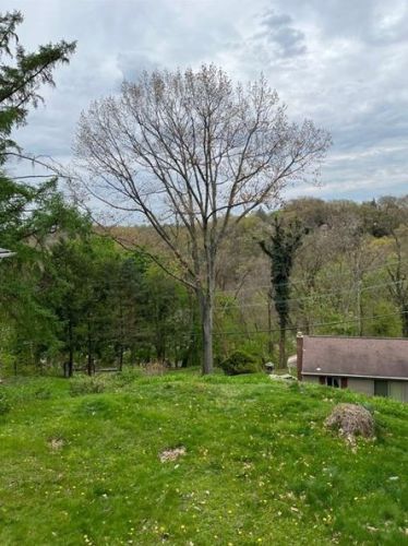 566 Highland Pl, Pittsburgh PA  15202-2928 exterior