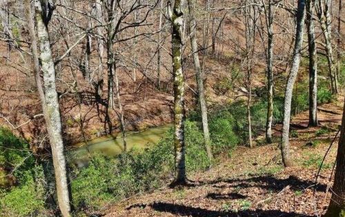 5565 Riverwalk Ct, Gainesville GA 30506-2987 exterior