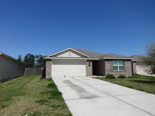 4627 Canadian River Ct, Spring TX  77386-3609 exterior