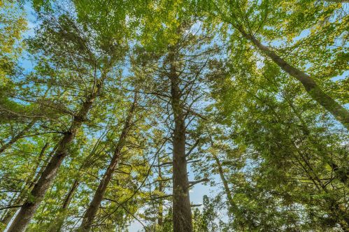 10288 51 St, Grand Junction MI 49056-9516 exterior