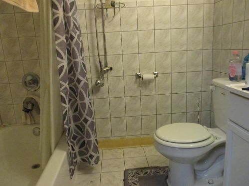 6623 Woodlawn, Chicago IL 60619-7924 exterior