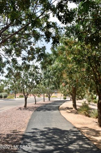 7449 Fair Meadows Loop, Tucson AZ 85756-6151 exterior