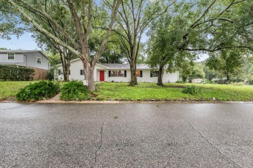 528 Crestover Dr, Tampa, FL 33617-3852