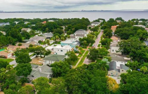 2924 Alline Ave, Tampa, FL 33611-2802