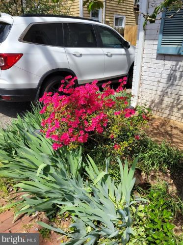 802 Hollywood Ave, Silver Spring, MD 20904-3034