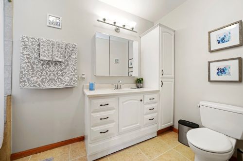 11154 Whipple St, Chicago IL 60655-2328 exterior