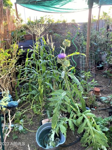 13046 37 Ave, Phoenix AZ 85053-7610 exterior