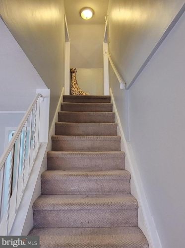 228 Bentley Ave, Trenton NJ  08619-3724 exterior